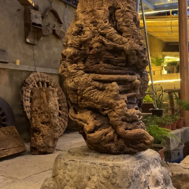 香榧木从***大老物件木木