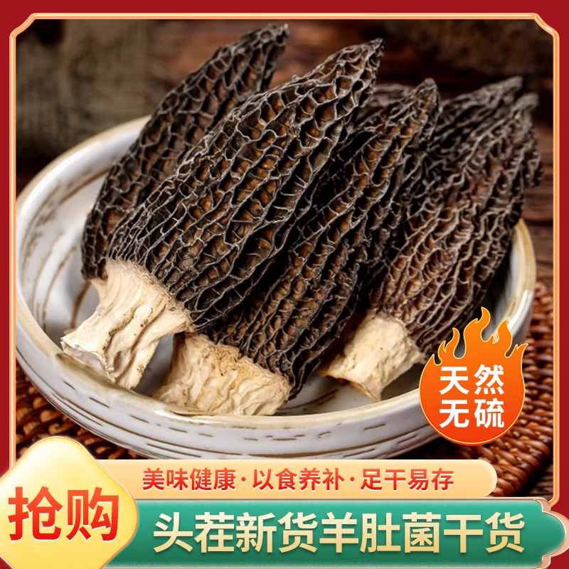 高山头茬羊肚菌干货肉质汤包肥厚无沙农家特产新鲜煲汤食材