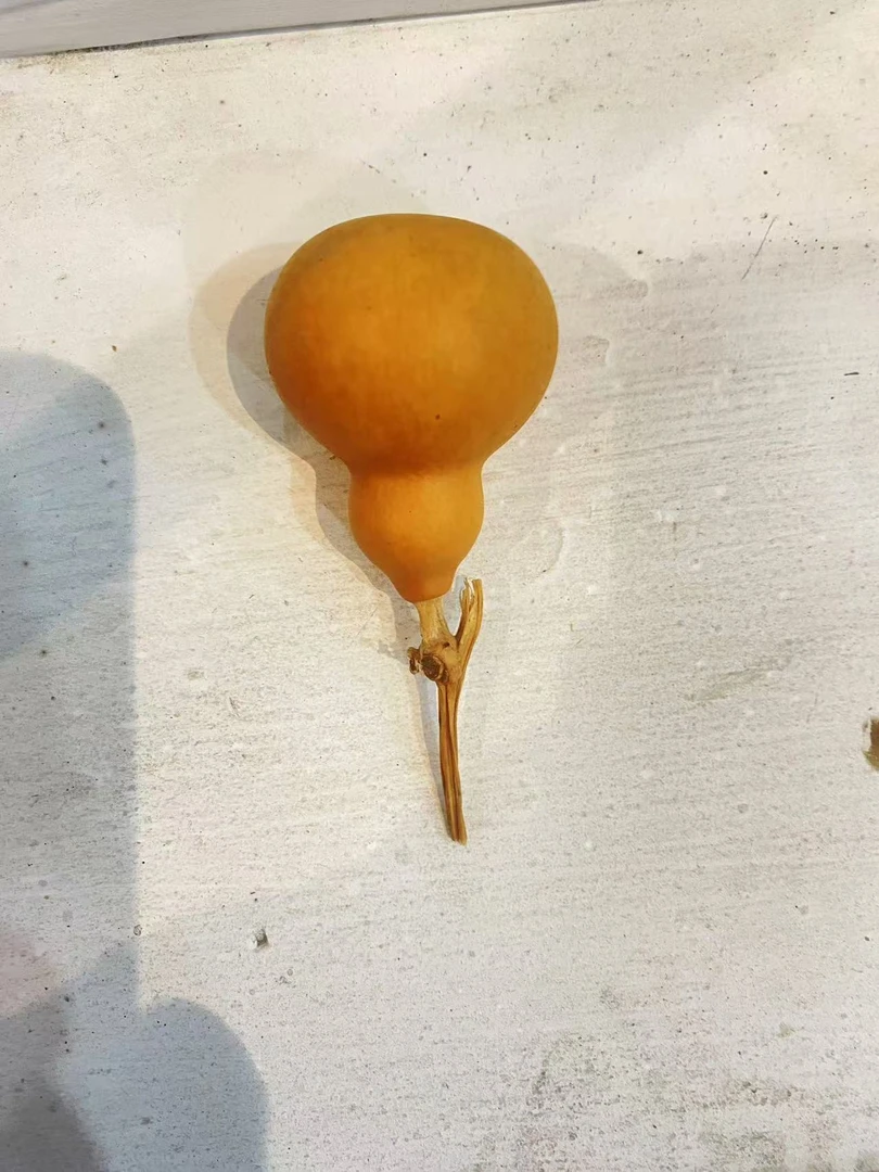 66文玩葫芦专拍直播间