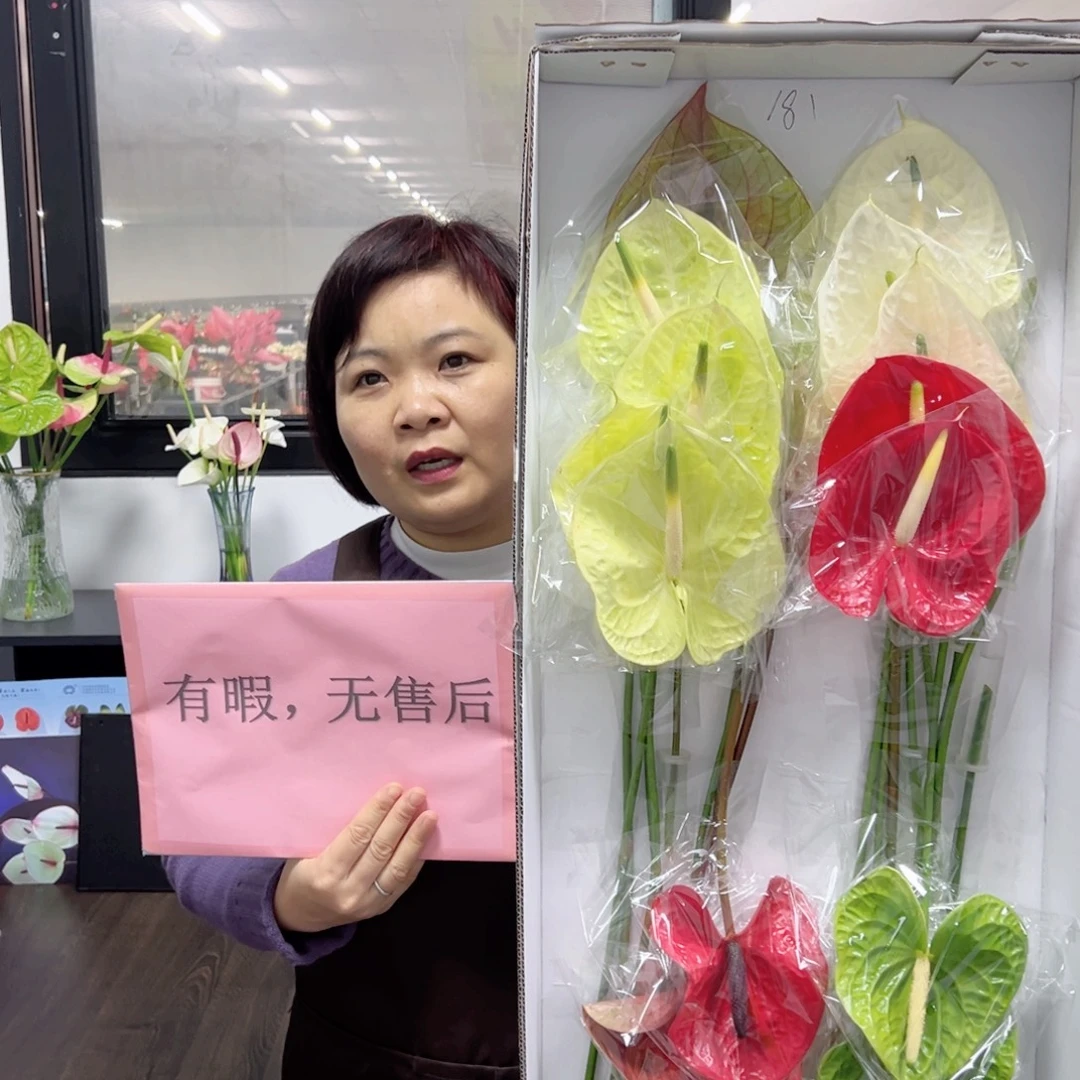 完全开放混色-18枝装无售后款181