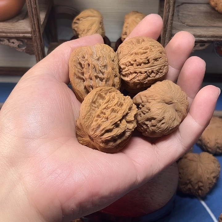 小***阳麦穗虎头麦穗虎头