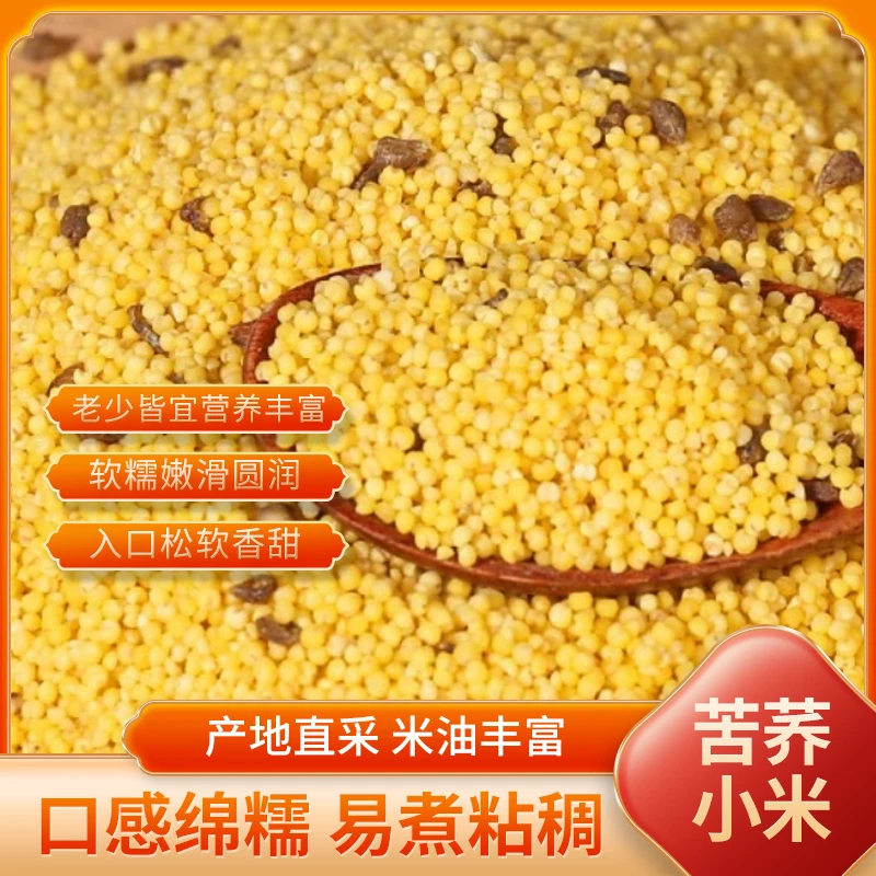 米厂直发优质苦荞黄小米当年新米米香油厚