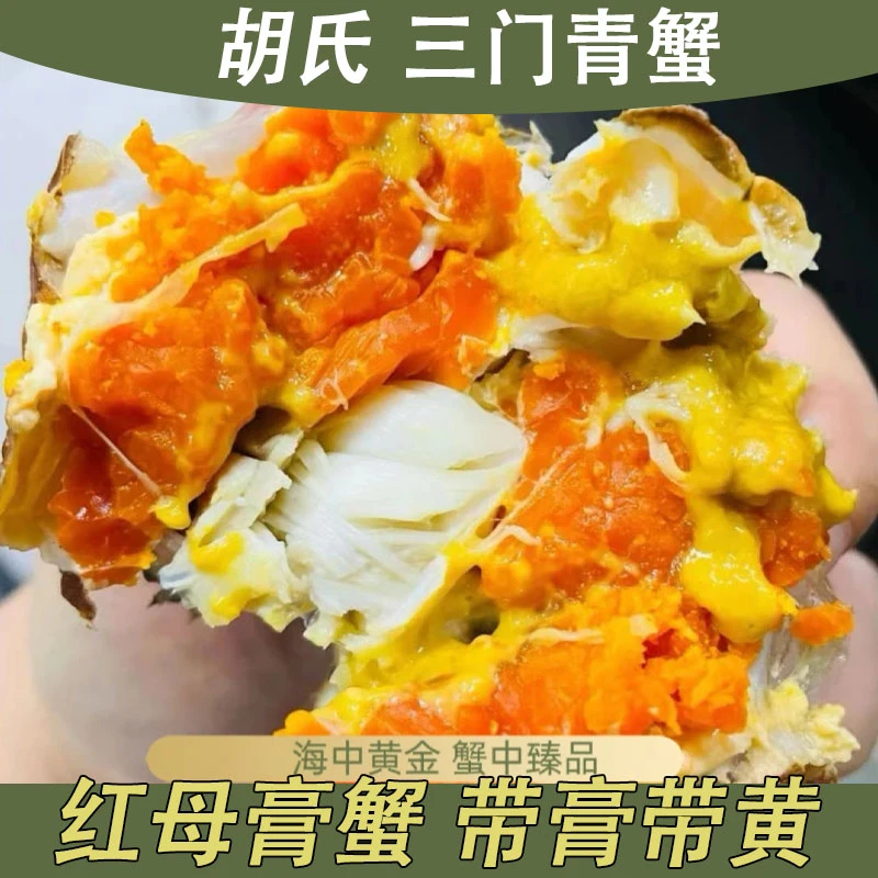 【红膏蟹】正宗三门青蟹 特大母膏蟹 大超大公蟹海鲜鲜活水产螃蟹