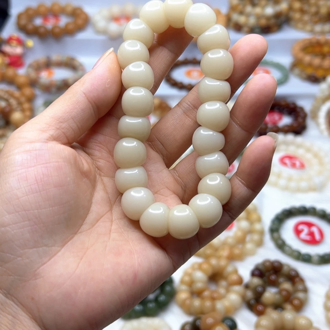 ****河手串菩提根/象牙果