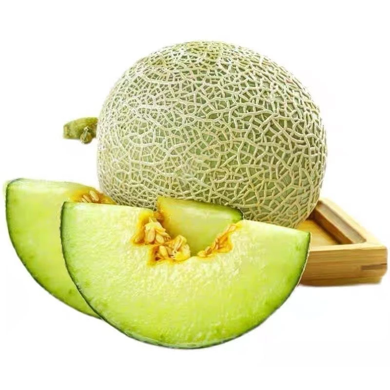 带箱9-10斤 海南网纹瓜玫珑瓜静冈新鲜采摘哈密瓜玫珑瓜软糯香甜