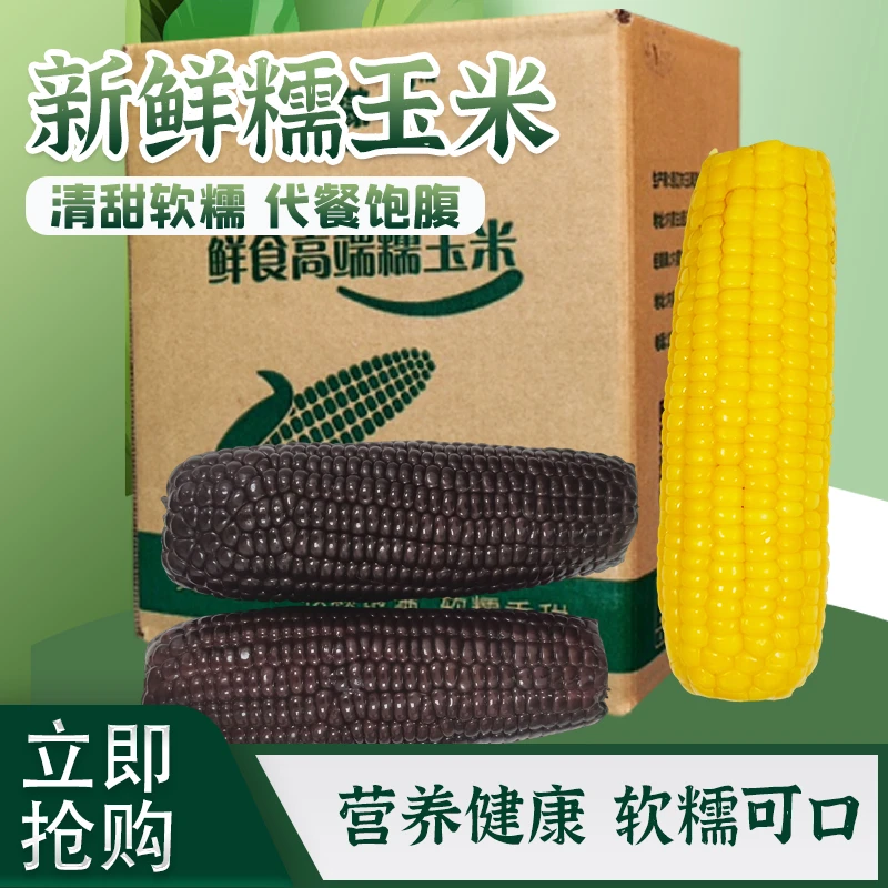 黑糯玉米+黄糯玉米双拼组合绝了 一箱两种口味 味蕾超惊喜  速囤