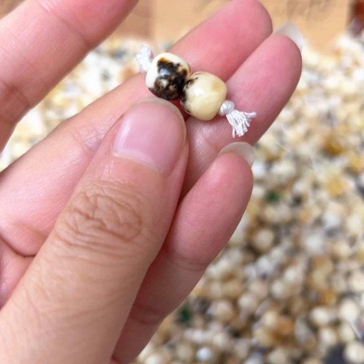 裸石蜜蜡未镶嵌8.5mm一对