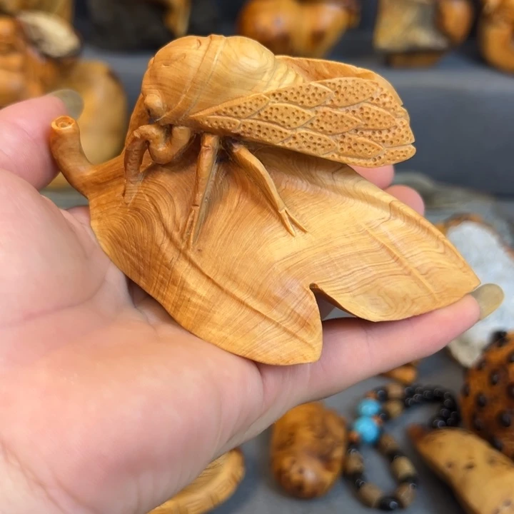 柏木（崖柏）点点关注