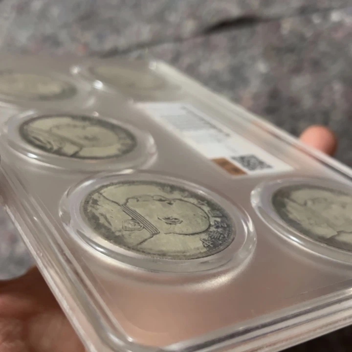 都是自己家的拍就完