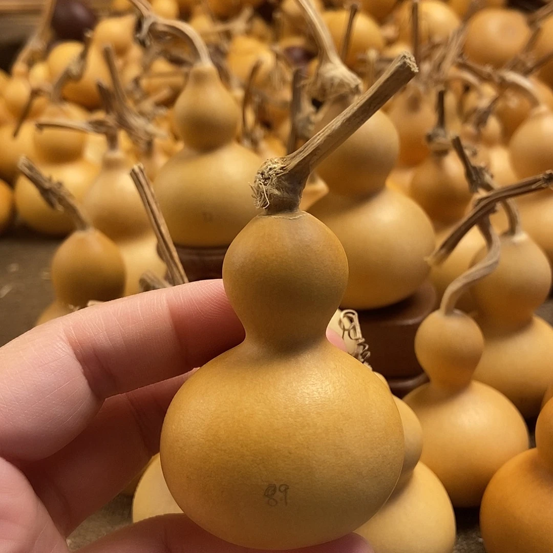 文玩葫芦 完美主义者 慎拍89