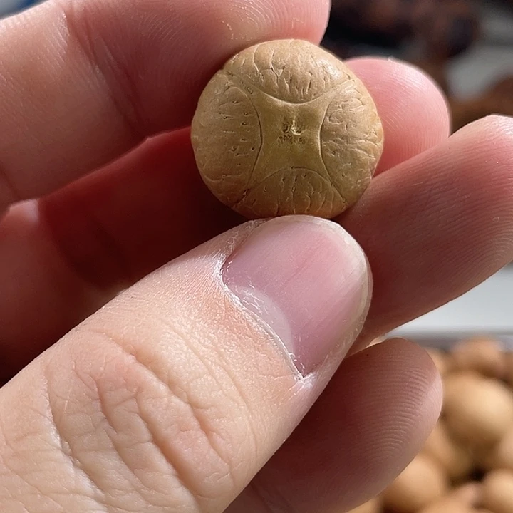 手串凤眼菩提尼泊尔小fy