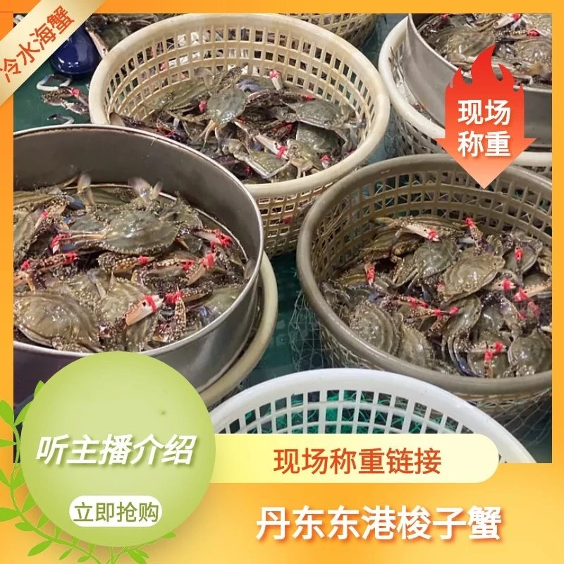 W【保鲜不保活】现场称重梭子蟹2两以上/只3斤装不保腿甲全