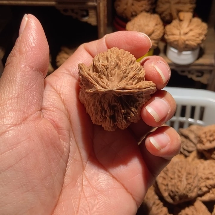 风***️核桃白狮子尺寸40全品