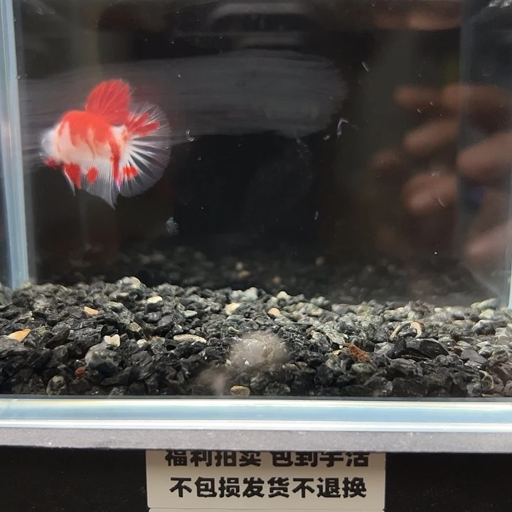 斗鱼满30包邮11日107