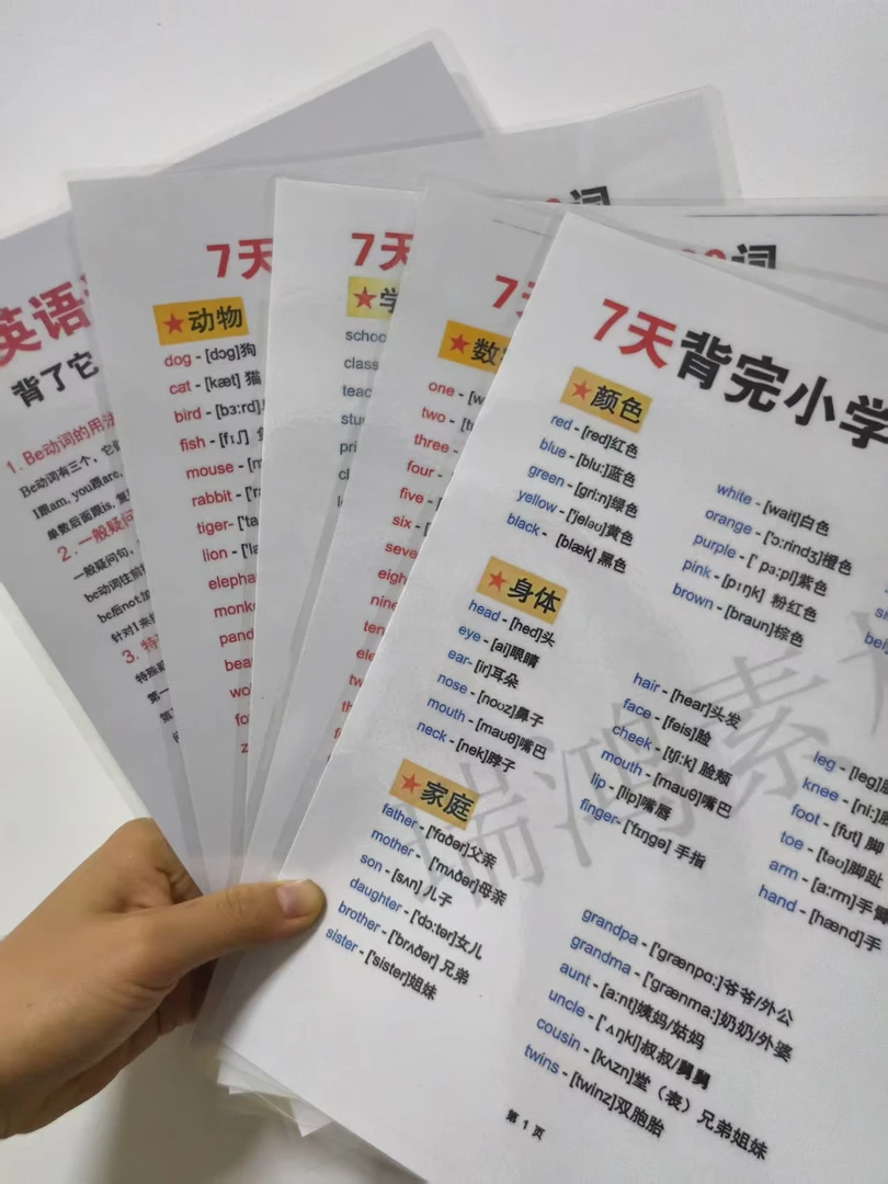 7天背完小学中英文分类快速记忆单词词根词缀助《假期复习一本通》