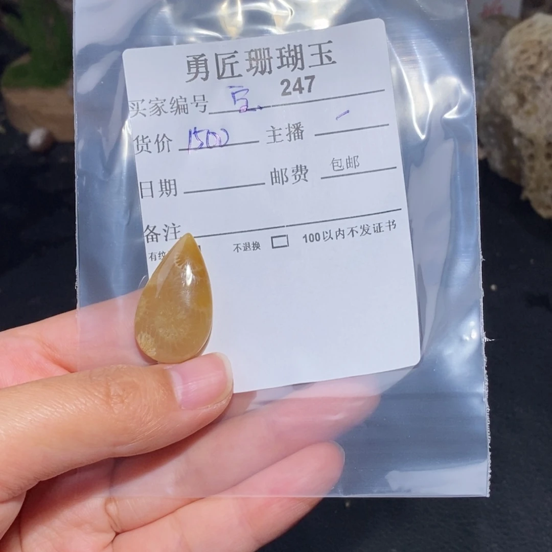 【闪购商品】硅化玉颈饰未镶嵌