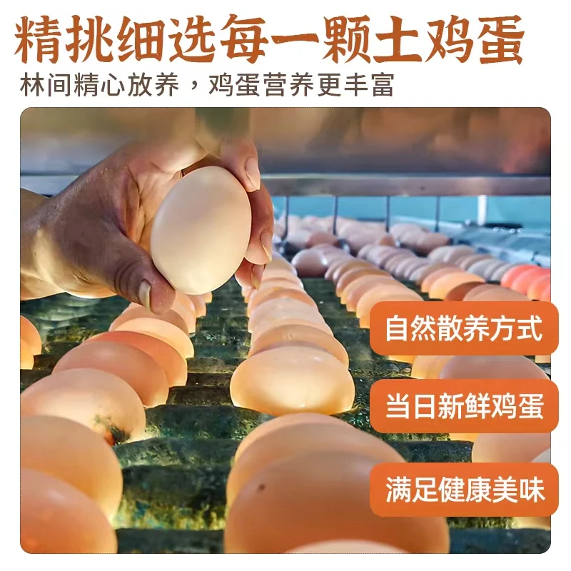 玉谷林下散养草鸡蛋正宗散养土鸡蛋农家散养新鲜土鸡蛋品鉴装