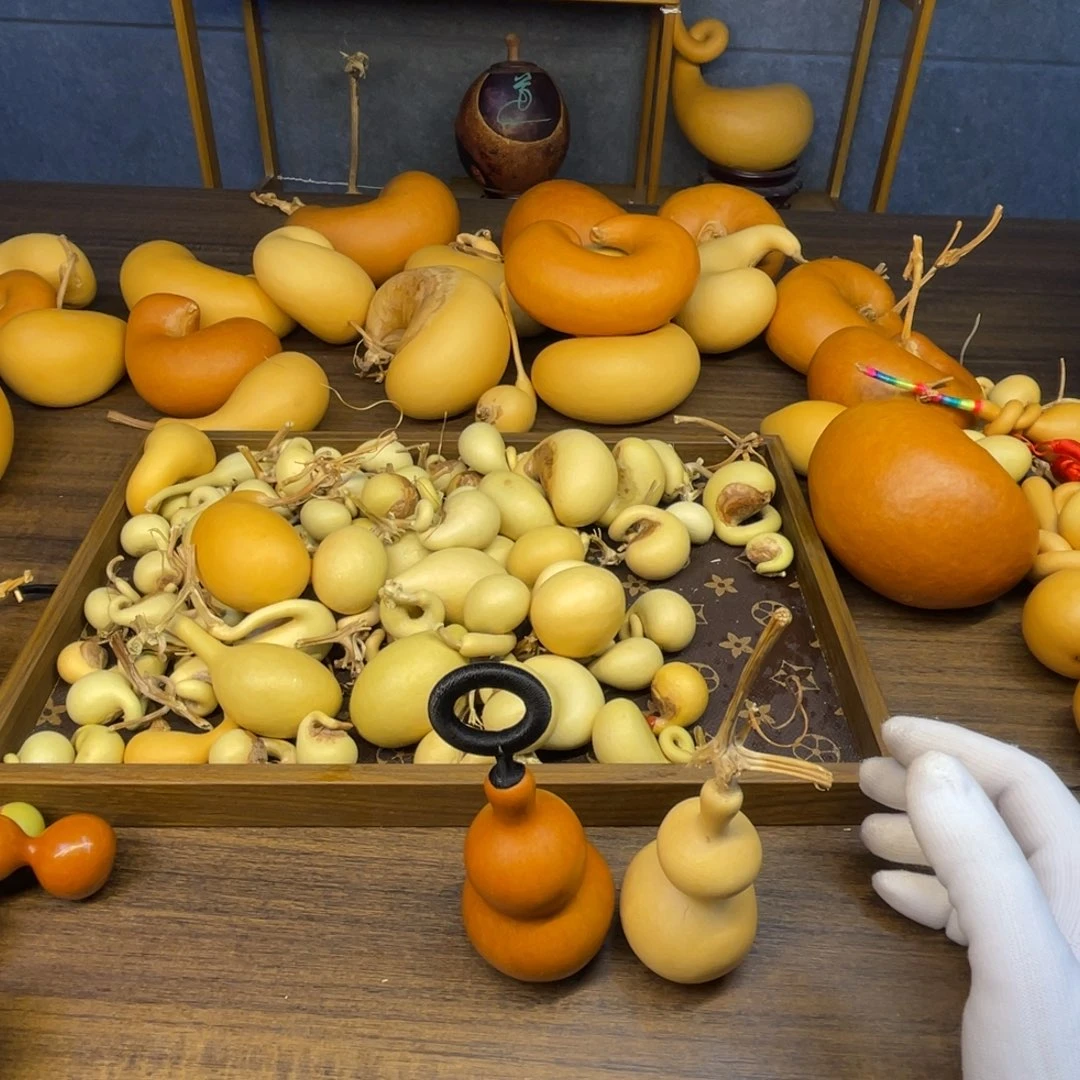 煜***葫芦6666666666666666666