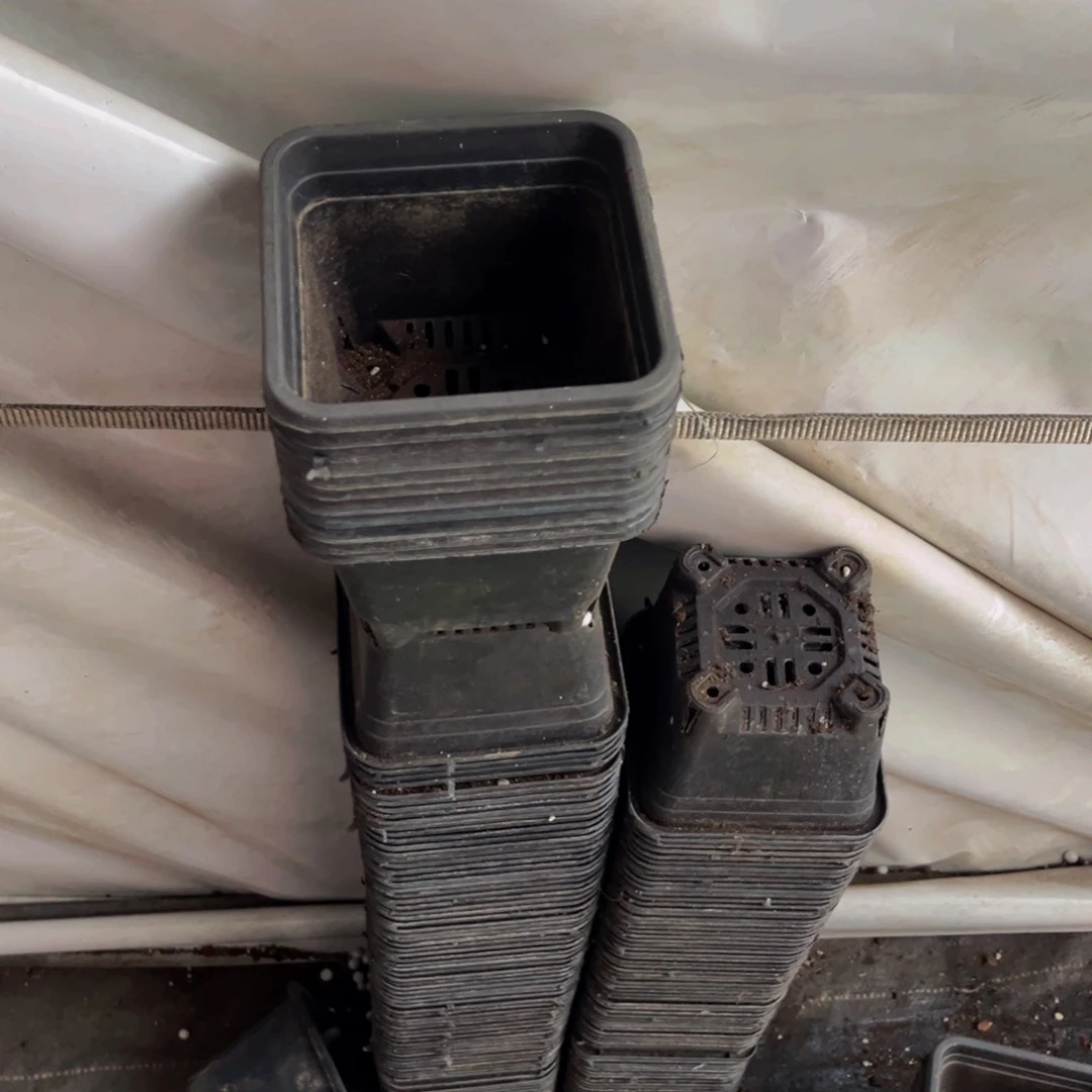 旧口径12黑方盆30个