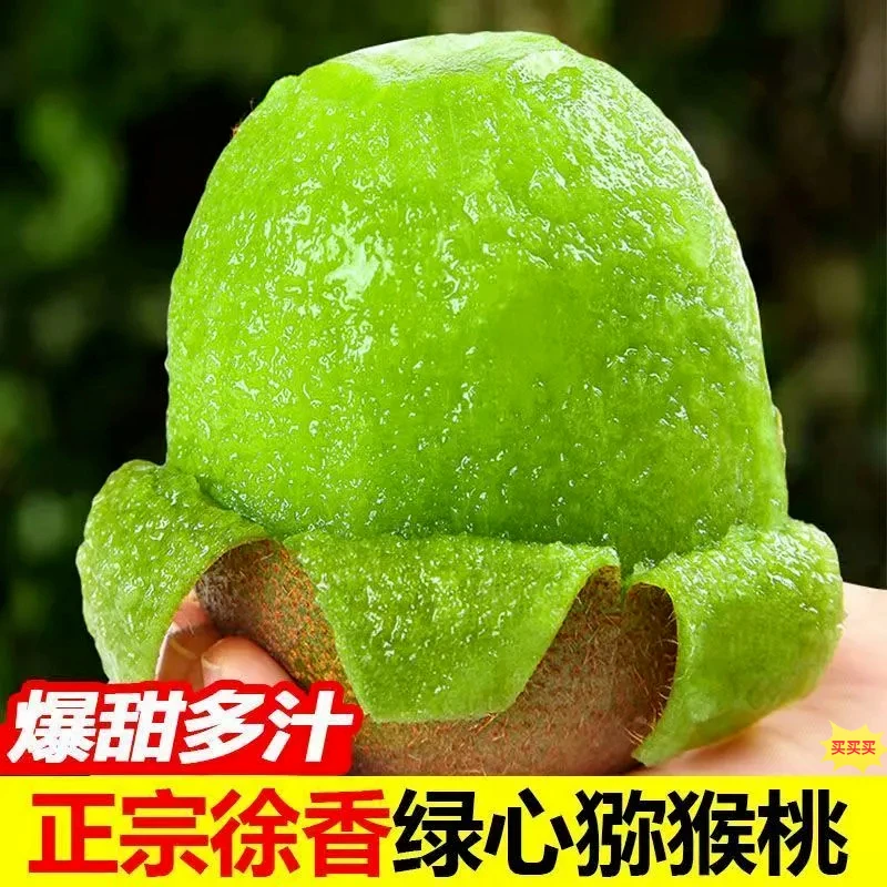 【放软食用】陕西正宗徐香猕猴桃绿心奇异果新鲜水果现摘产地直发