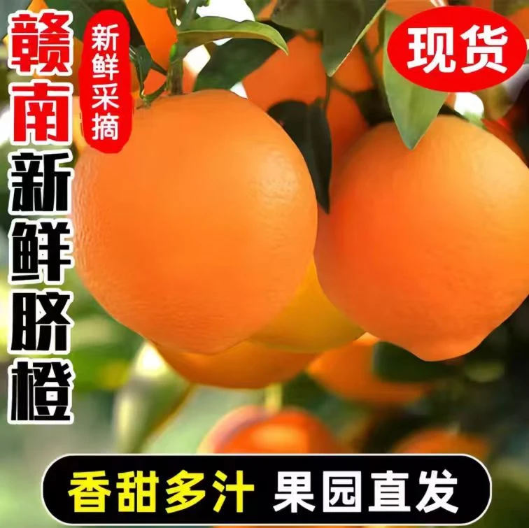 (直播)现摘正宗赣南脐橙赣州产地直发江西孕妇水果当季新鲜橙子