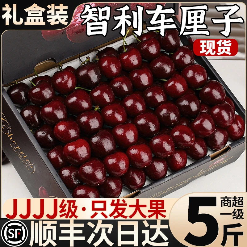 海运智利车厘子进口桑缇娜J-5J级特大号水果顺丰内附果径卡