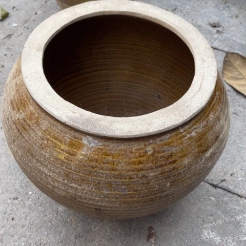 种草种菜种花种花种花