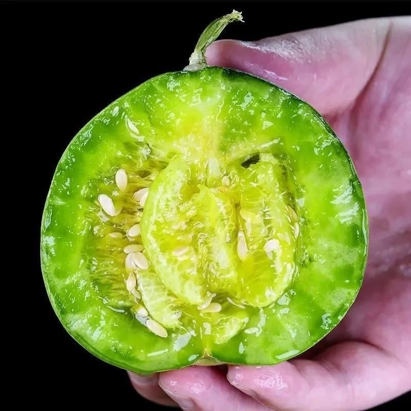 绿宝石甜瓜子薄皮香瓜种籽菜园阳台庭院盆栽四季种植蔬菜水果种孑
