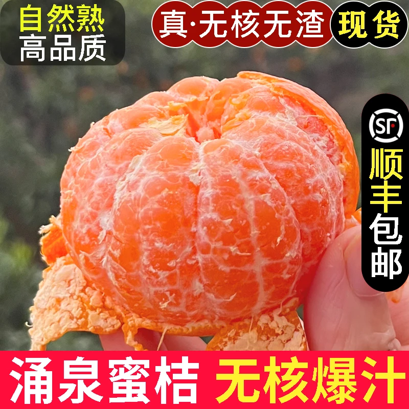 浙江临海涌泉蜜桔当季新鲜孕妇水果早熟宫川无核蜜桔现摘顺丰礼盒