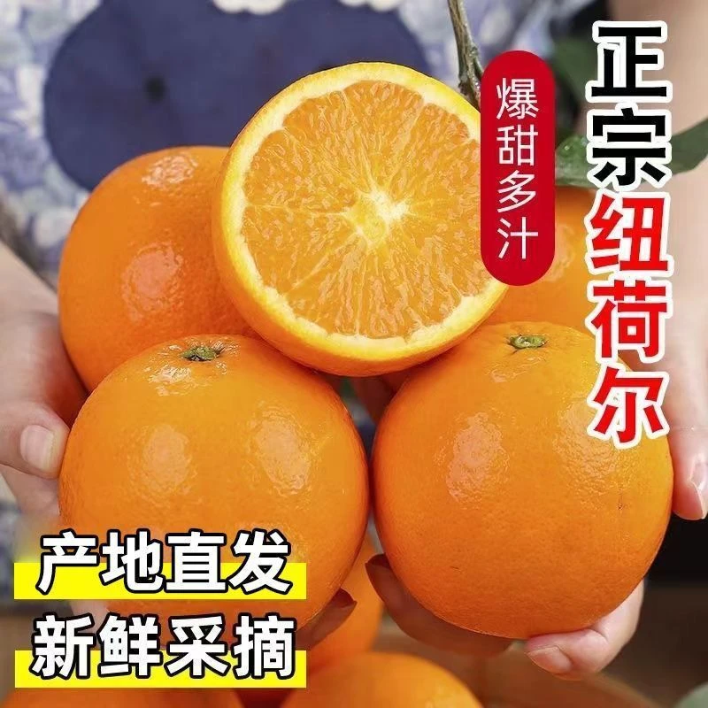 A【带箱五斤大果】正宗纽荷尔脐橙70-80mm高品质大果新鲜水果