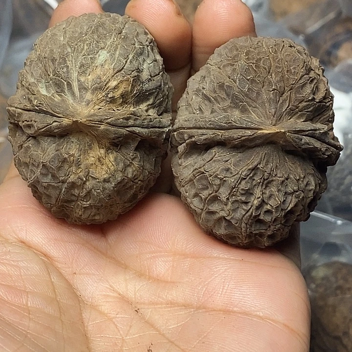 把件文玩核桃云南铁核桃85