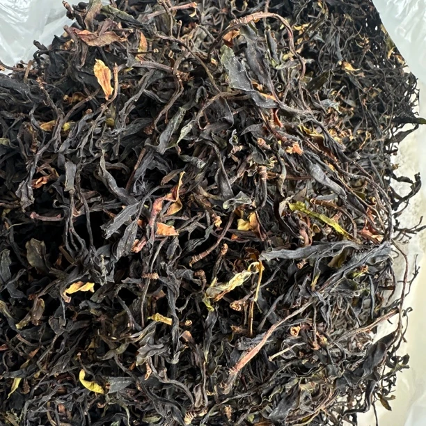 云南千年野生古树《单株野生生茶》