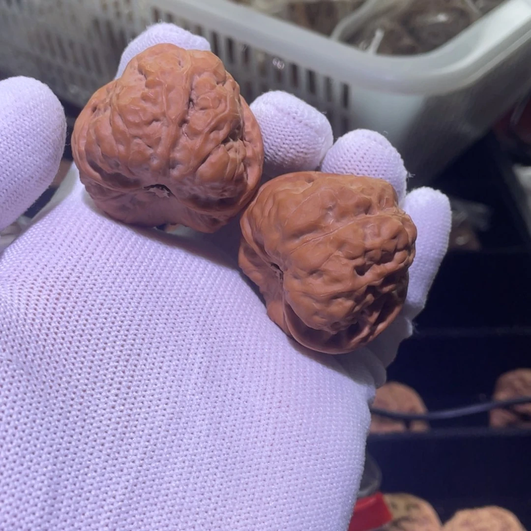 文玩核桃把件蛤蟆头 553