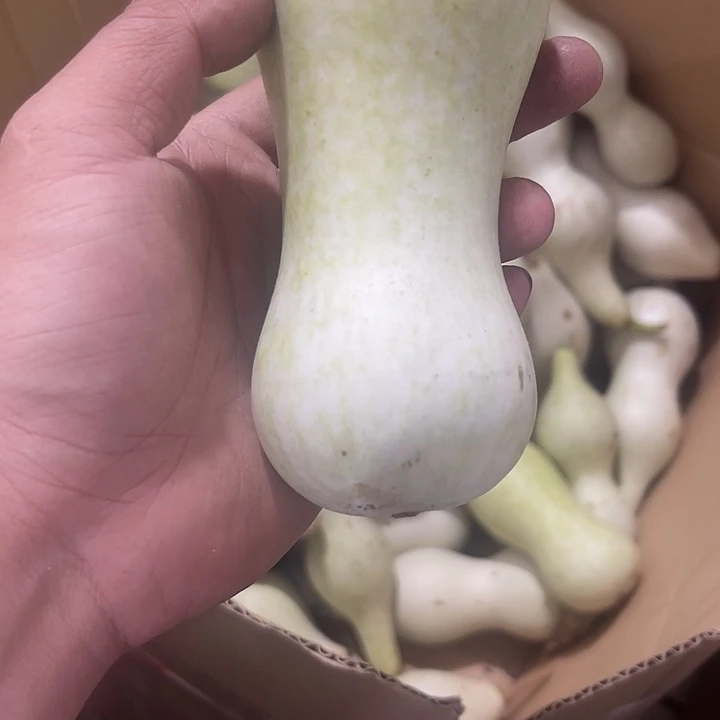非洲紫檀（红花梨）老*