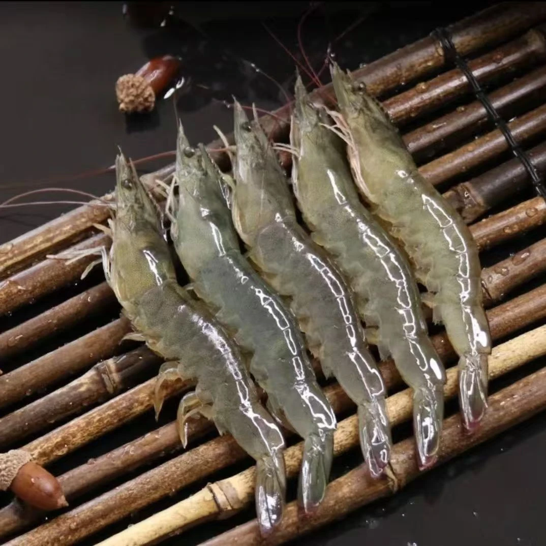 c活虾速冻锁鲜 国产海捕大虾排盘速冻发四斤 冷链发货