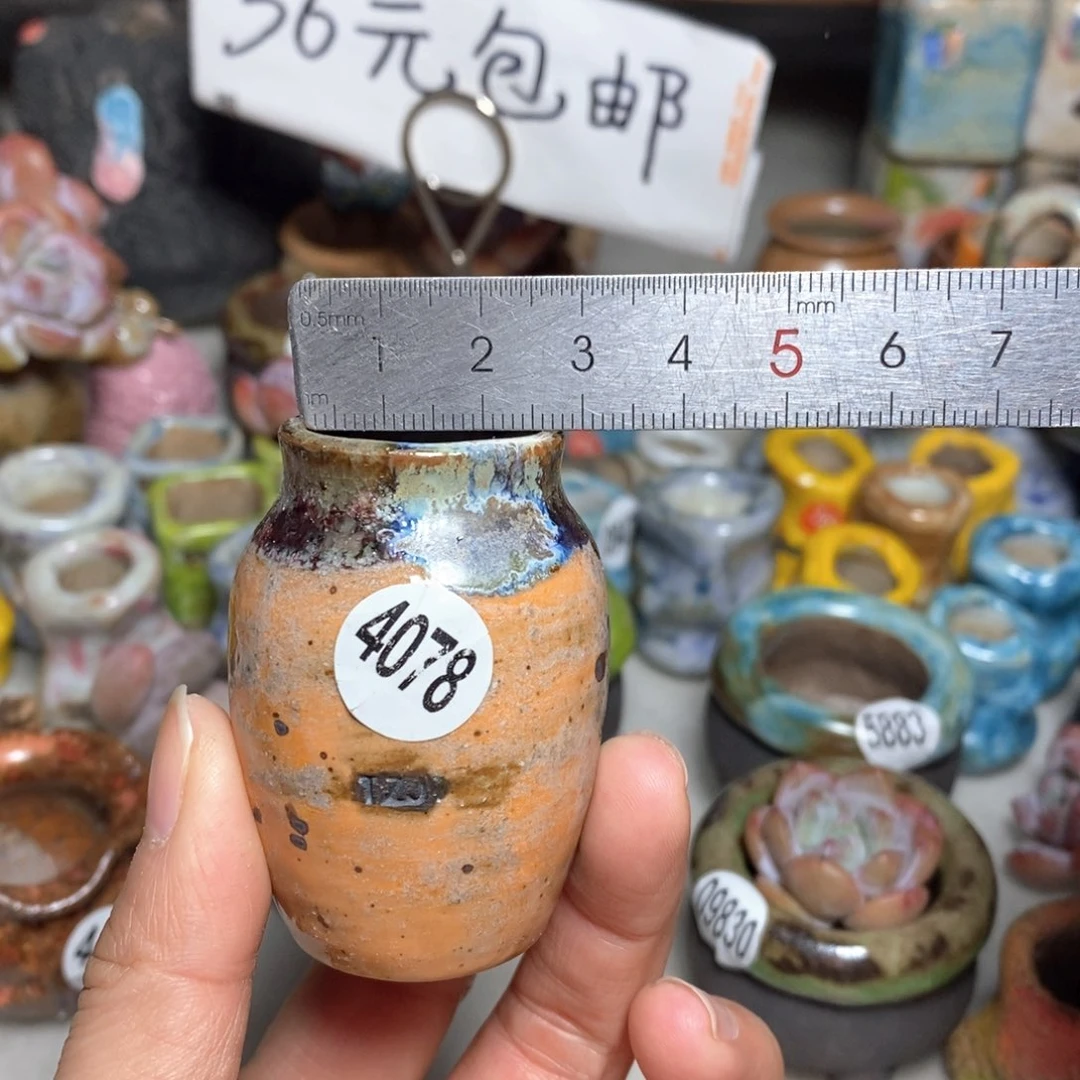 拍5送一个小礼物