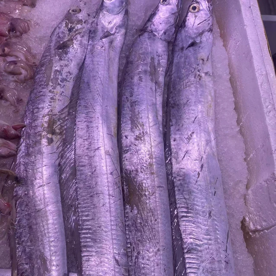 冰鲜带鱼大顶带500g-600g带鱼同城送