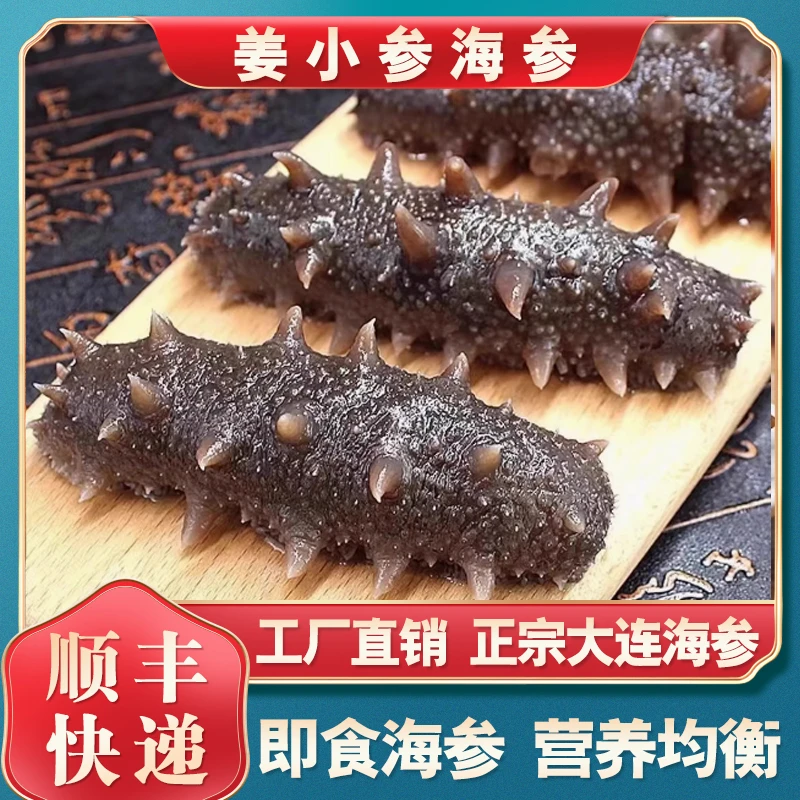 老姜【即食海参】大连深海辽刺参即食海参500g 大连发货