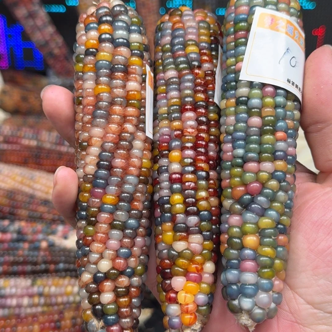 柏香籽/百香籽吊坠小***草