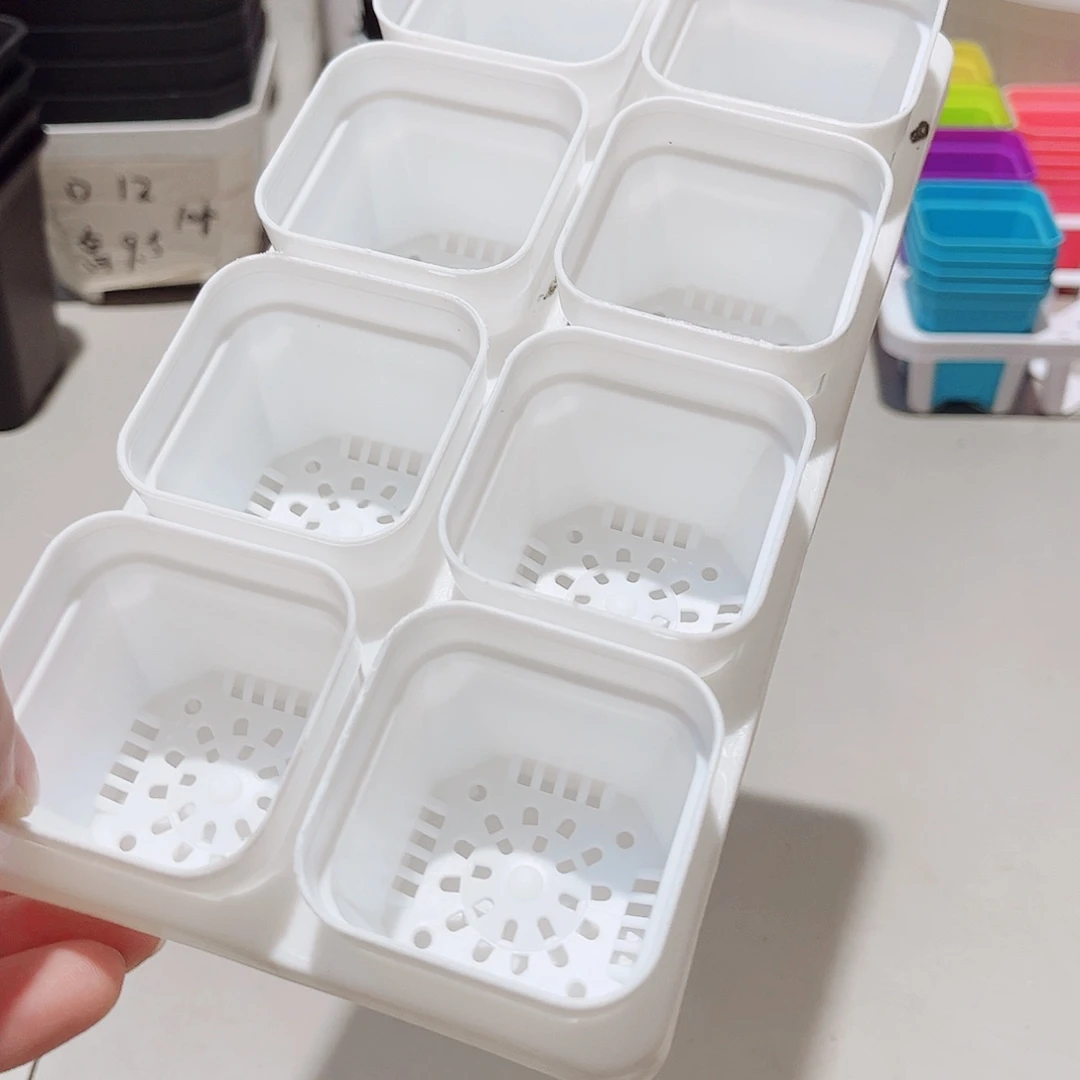中厚口5高5白盆8个盆带拖架