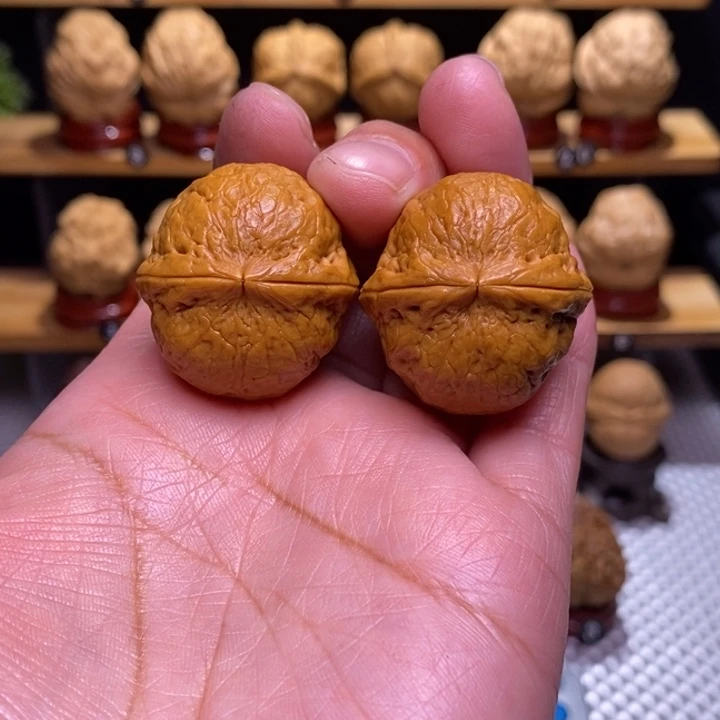 木质类云铁龙珠40号