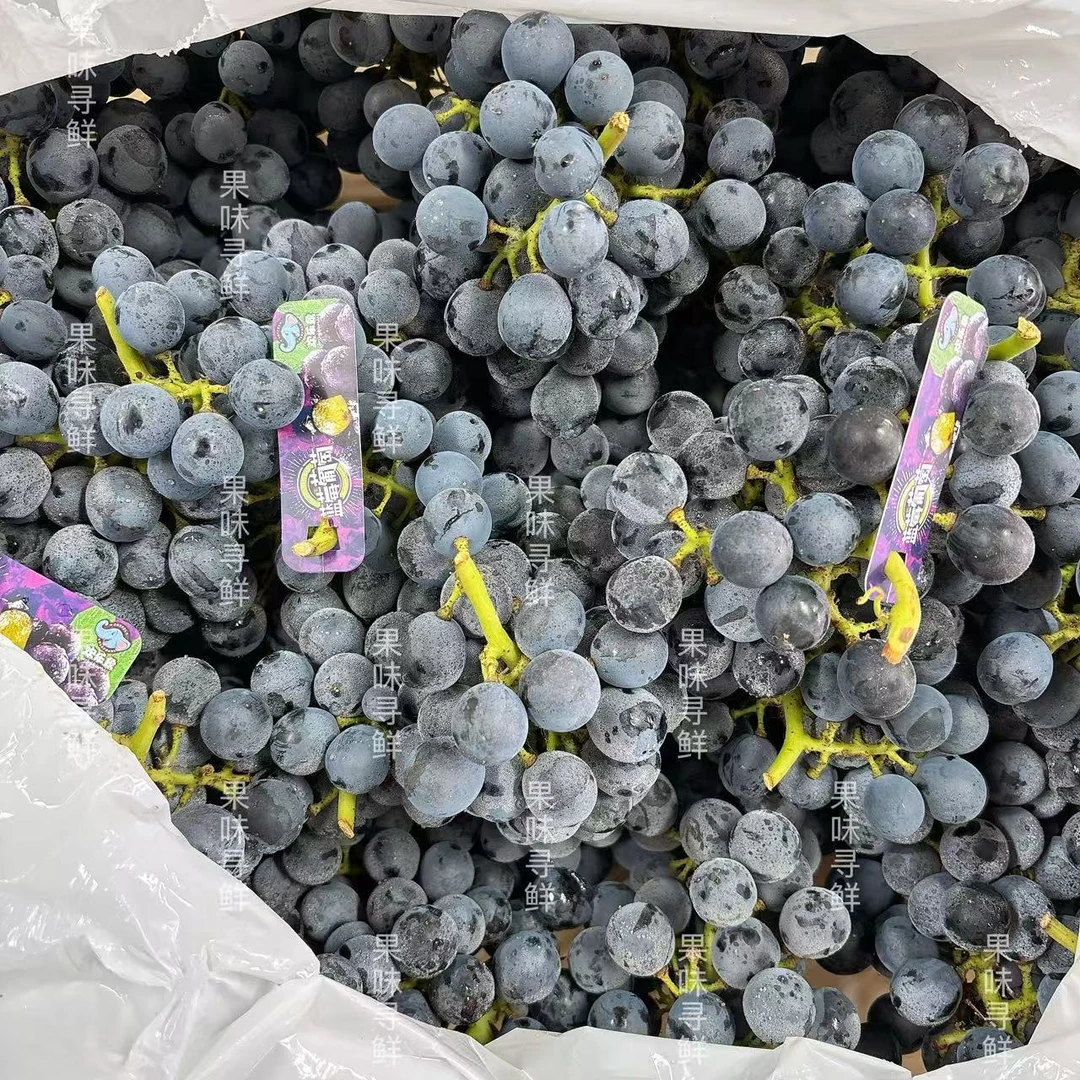 欢乐象蓝莓葡萄 分装 净重3斤 运输过程中可能会掉粒，收到请冷藏