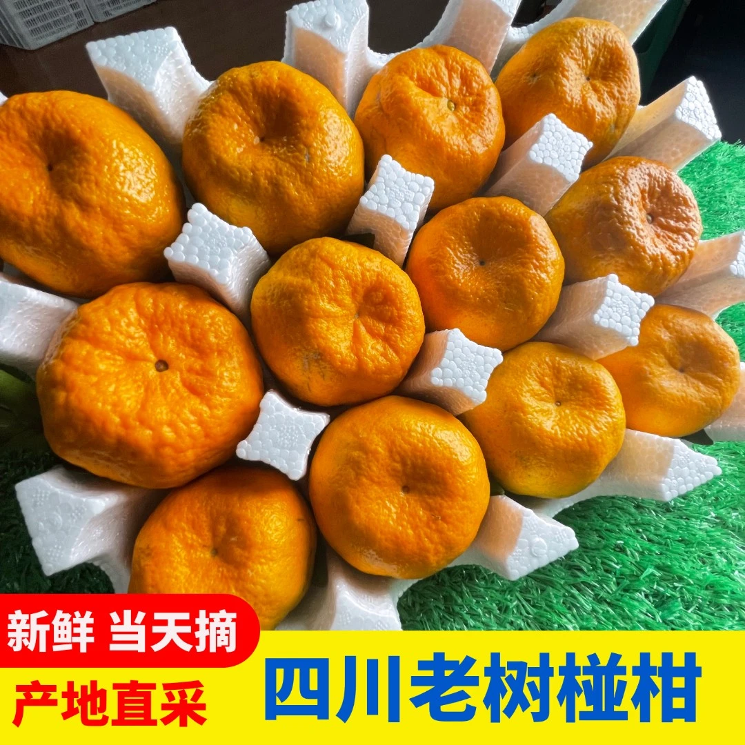 四川留佳椪柑芦柑鲜果整箱批发当季新鲜水果柑橘桔子孕妇小孩老人
