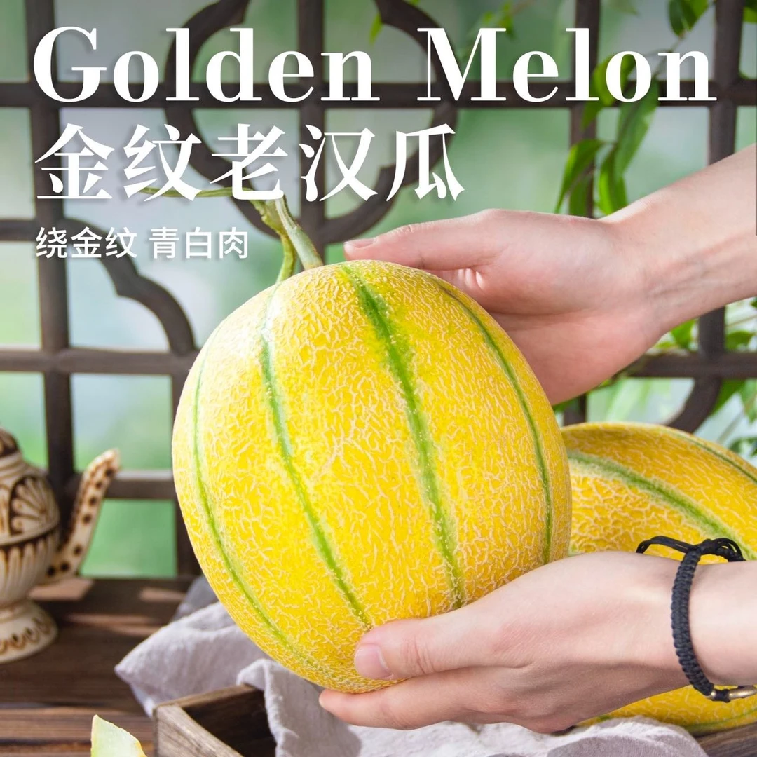 新疆金纹老汉瓜脆甜多汁新鲜水果现摘现发