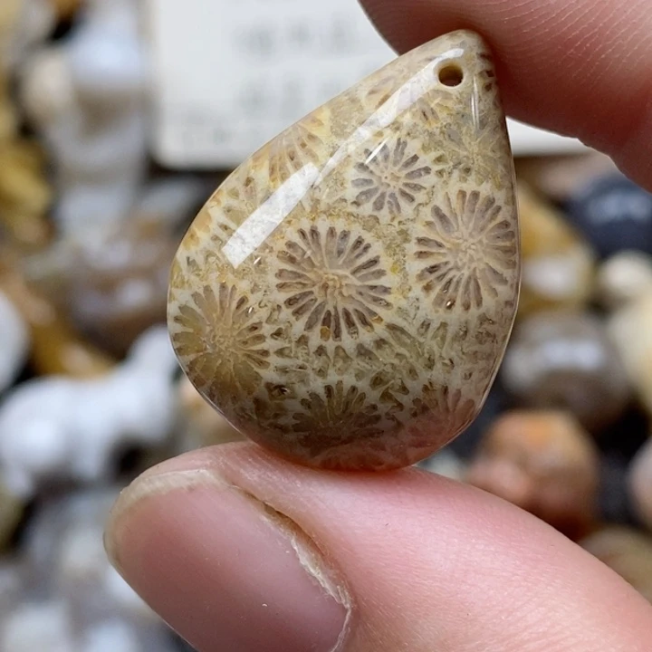 颈饰未镶嵌硅化珊瑚（珊瑚玉）小