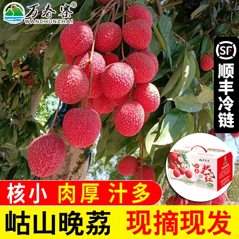 万春寨永春状元红荔枝5斤礼盒装 岵山晚荔 百年老树现摘现发 顺丰