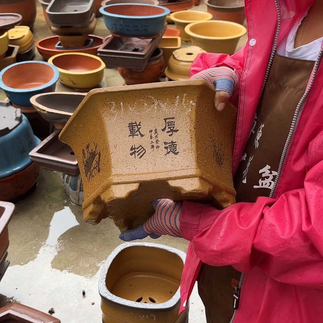 紫砂花盆盆景艺术
