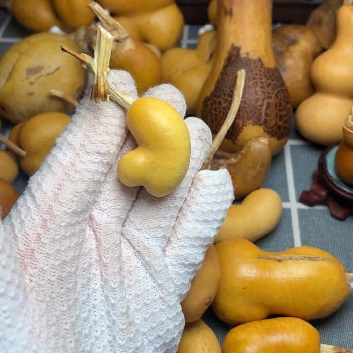 ***う葫芦印66666666666