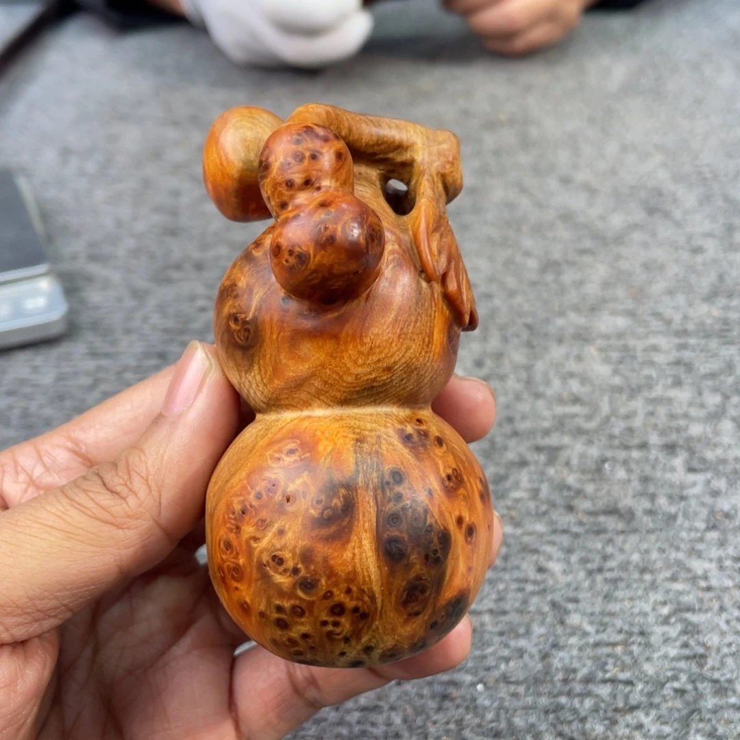 柏木（崖柏）太行崖柏8888888888