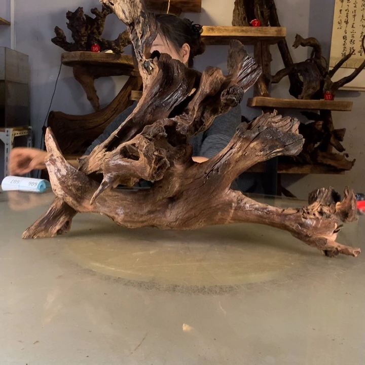 F***7天然的云南紫柚木会黄水